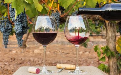 Beaujolais nouveau 2021 : organiser une soirée Beaujolais nouveau