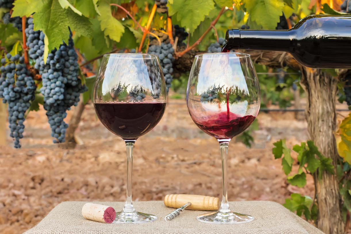 vin rouge et vin blanc